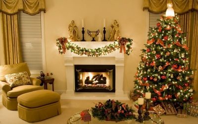 Plantas para adornar la navidad