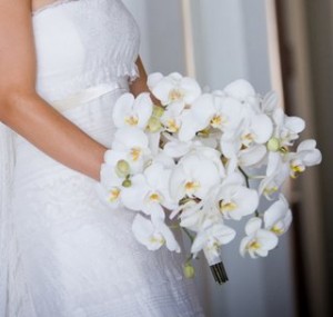 ramo-orquídeas-boda