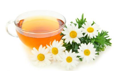 Las 4 plantas medicinales más utilizadas