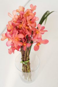 ramo-de-orquídeas-san-valentín
