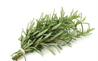 5 hierbas aromáticas que son muy, muy fáciles de plantar