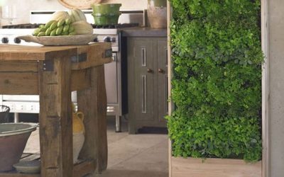 ¿Quieres plantar jardines verticales pero no te decides si exterior o interior? ¡Te ayudamos!