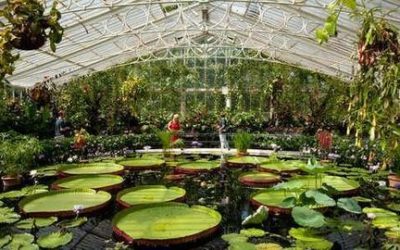 Los jardines botánicos más bonitos del mundo