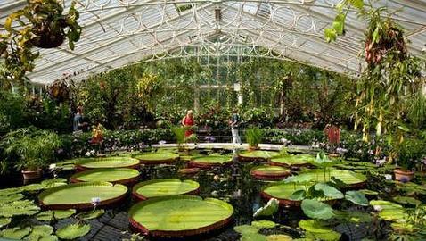 Jardines de Kew - Jardines botánicos
