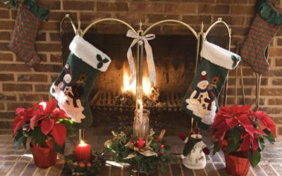 ¿Qué plantas navideñas usar para decorar tu casa en estas fechas?