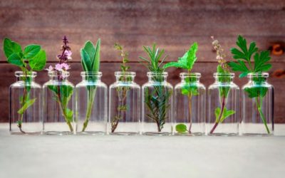 5 mejores aceites esenciales a partir de plantas y frutos