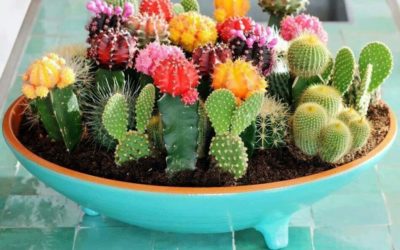 4 regalos originales para el Día del Padre