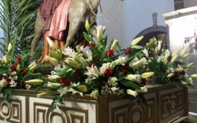 ¿Qué relación guardan la Semana Santa y las Plantas?