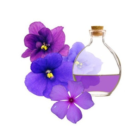 flores-elaboración-perfumes-la-violeta - floryfauna